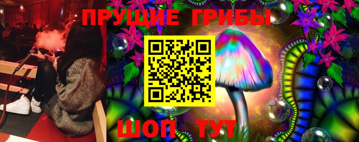 Галлюциногенные грибы мицелий  Псилоцибиновые грибы Psilocybine cubensis  Грозный  Вход с VPN 